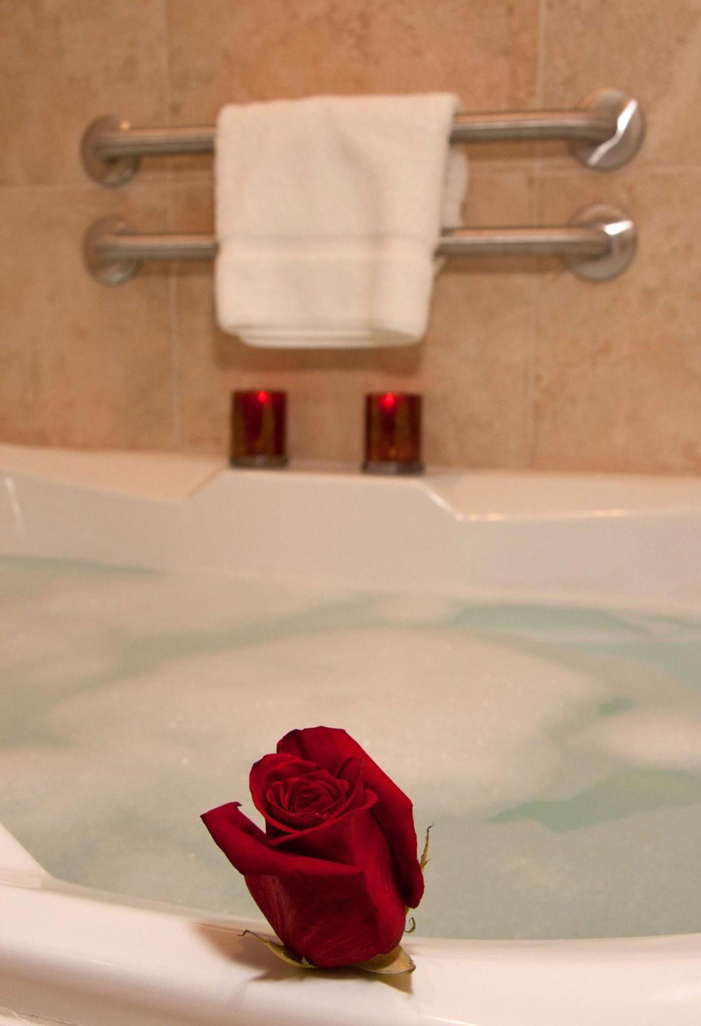 Hilton Garden Inn Milwaukee Airport Dış mekan fotoğraf